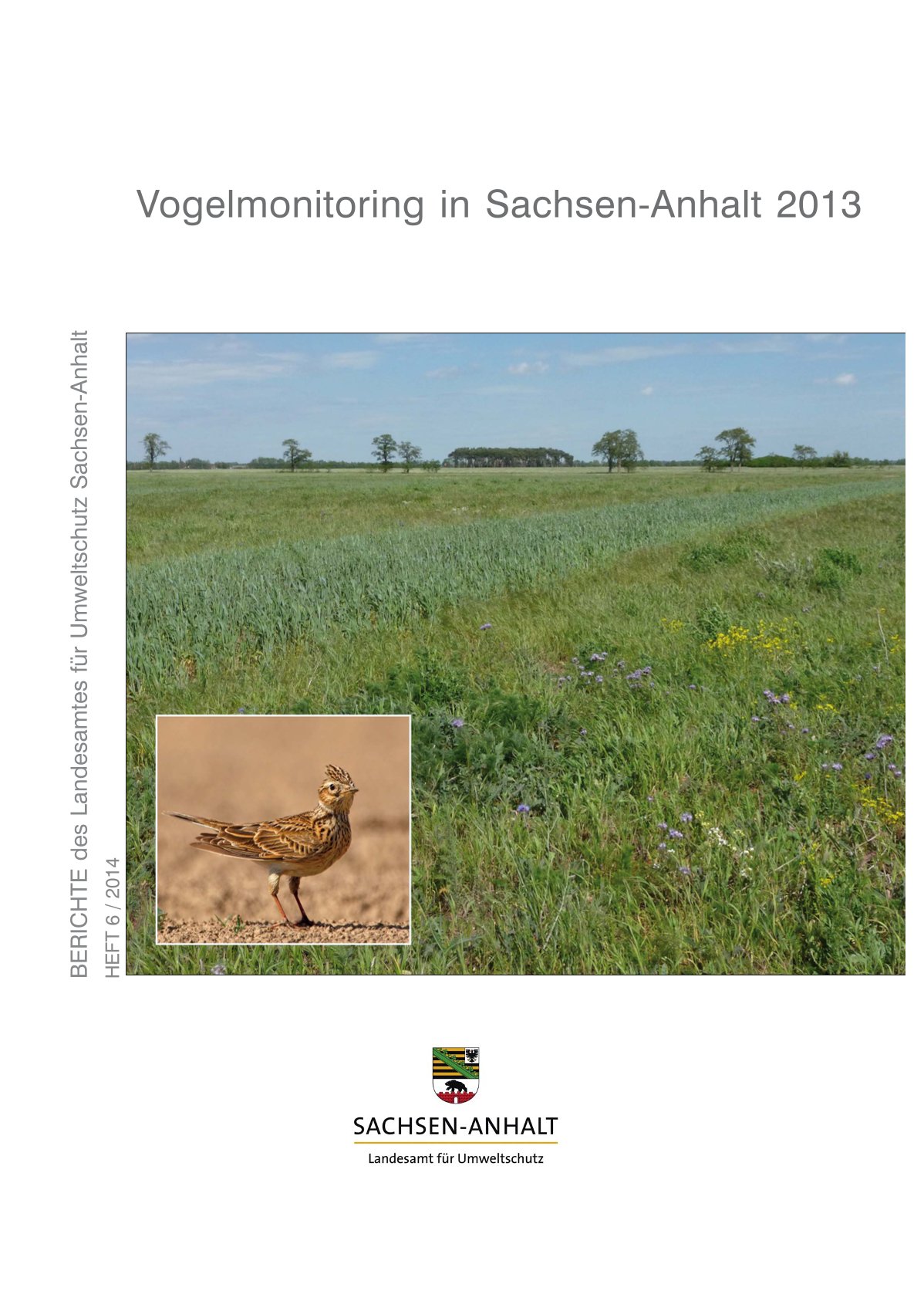 Cover Vogelmonitoring