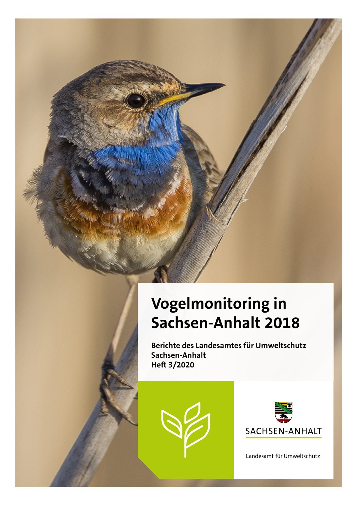 Cover Vogelmonitoring