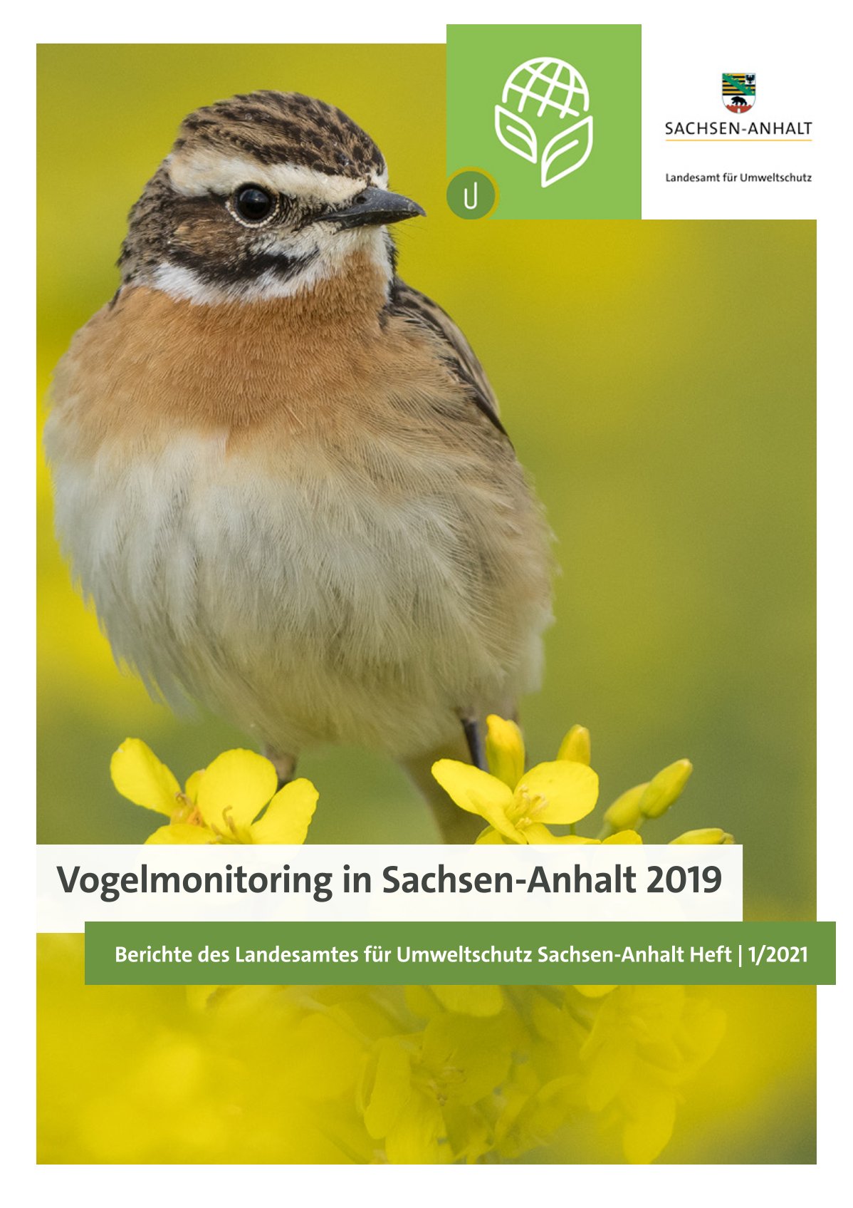 Cover Vogelmonitoring