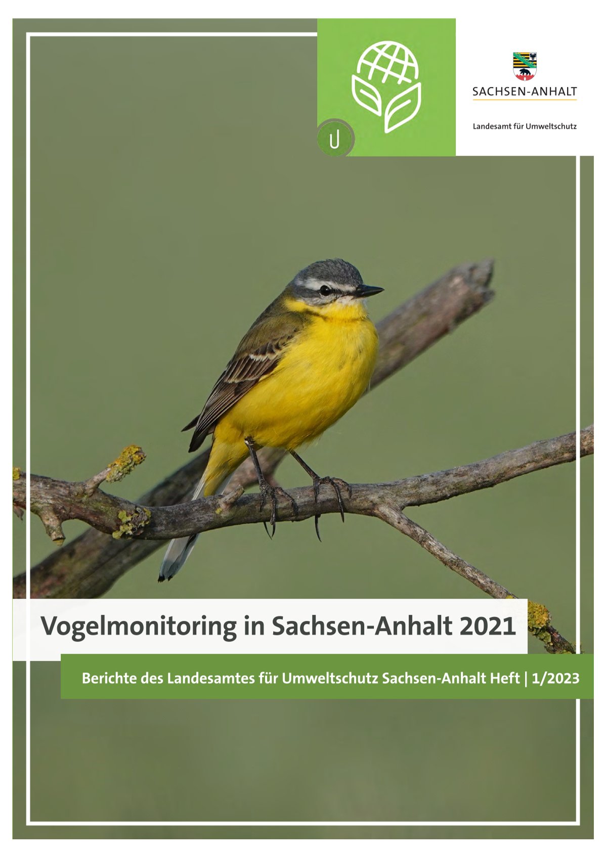 Cover Vogelmonitoring